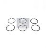 SCANI 319754 Piston Ring Kit